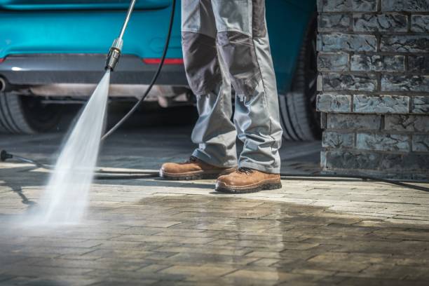 Best Animal Enclosure Cleaning  in Schleswig, IA